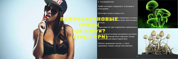 герыч Пестово