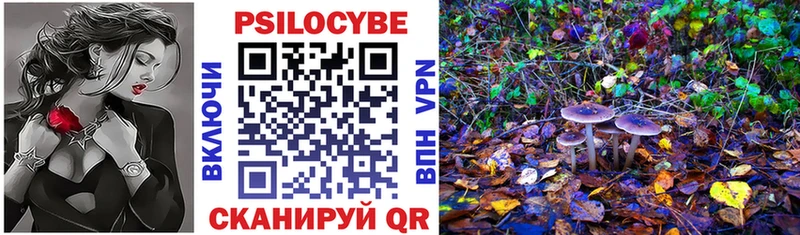 mega вход  Конаково  Псилоцибиновые грибы прущие грибы 